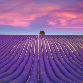 Фотография от Лариса Зырянова