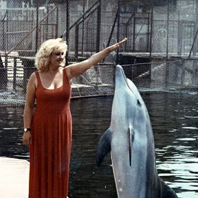 Фотография "В нашем дельфинарии с Флинтом"