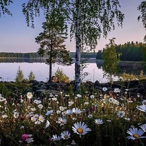 Фотография от Владимир Кудлаев