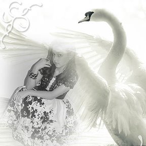 Фотография "Beautiful as a swan))"
