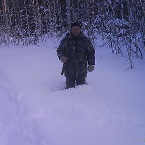 Фотография от Андрей Богданов