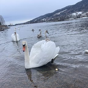 Фотография от Loretka Laki 💖 Lakichka