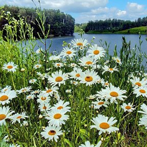 Фотография от Лиана Талхина(Мухамадиярова)