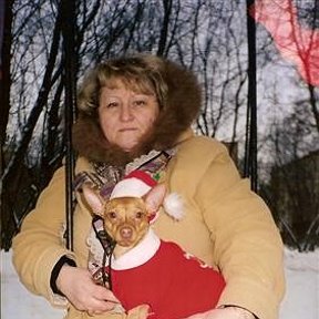 Фотография "2005 г.декабрь.Качели около дома.На руках мой любимый песик,зовут Тото."