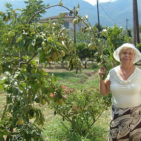 Фотография от Мария Степанова(Иванова)