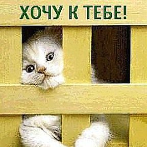 Можно к тебе. Открытка в гости можно?. Мем потеребонькать. Можно к тебе. Можно к тебе.