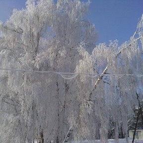 Фотография от дима ряполов