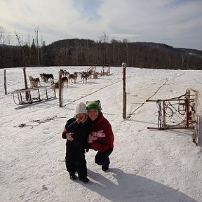 Фотография "Dog sledding St Sauveur"