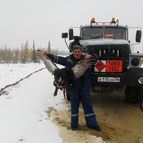 Фотография от виктор сергеев