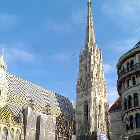 Фотография "Stephansdom, Wien"