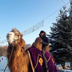 Фотография от Василий Евгеньевич