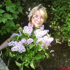 Фотография "Лиепая. Военный городок.2008год"