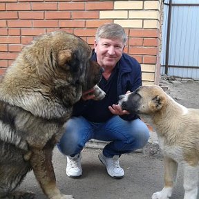 Фотография от Павел Шедь