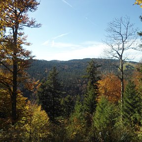 Фотография "FELDBERG. 16.10. 12."