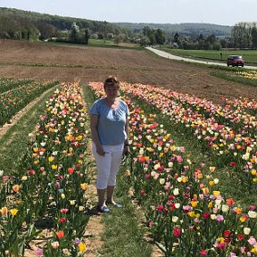Фотография "На поле с тюльпанами. 21.04.2018. "