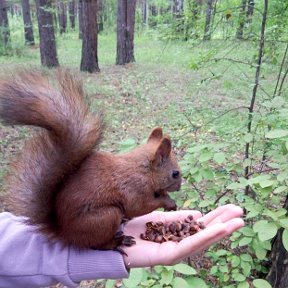 Фотография от Леночка .