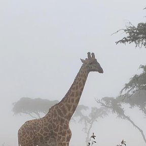 Фотография от Андрей Самсонов