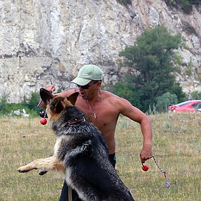 Фотография от Дмитрий Ю 7483