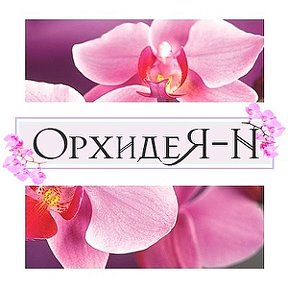 Фотография от Магазин ОрхидеЯ-N