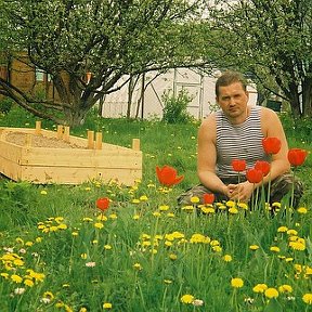 Фотография "Тверская губерния. Во саду ли, в огороде... Май 2009"