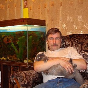 Фотография "Я, мои рыбы и котя"
