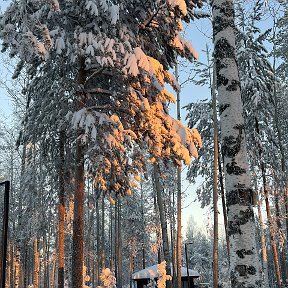 Фотография от Светлана Волгина