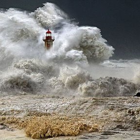 Фотография от Семья Руденко