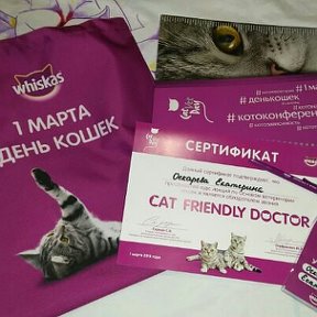 Фотография "1 Марта - День Кошек! #catvetday #котоконфереция"