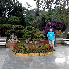 Фотография "Вьетнам. город Далат. парк цветов"