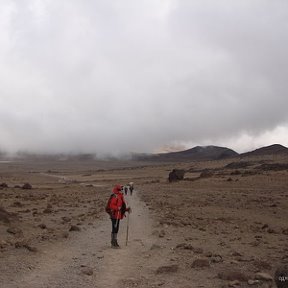Фотография "Килиманджаро"