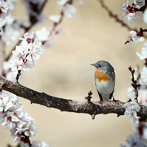 Фотография от никита чудайкин