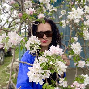 Фотография "Когда яблони цветут, всем девченкам нравится…🌺🌺🌺"