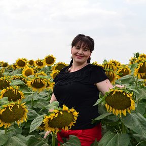 Фотография от Виктория Черкашина