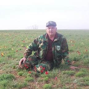 Фотография от Владимир Романенко