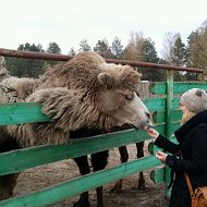 Аня Дудаль