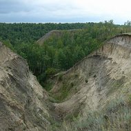 Алексей Аврагов