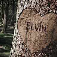 ๑۩۞۩๑๑elvin ๑۩۞۩