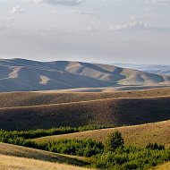 Жамшед Ахроров