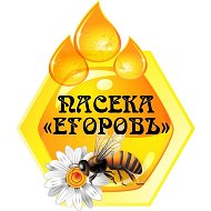 Пасека Егоровъ🍯🐝