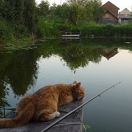 Владимир Цветков