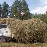 Артём Петрович