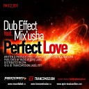 Dub Effect Feat Mix Usha - Perfect Love Original Mix