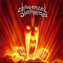 Chronical Diarrhoea - After The Battle