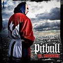 PITBULL Feat REDD EYEZZ - Blood Is Thicker Wather