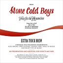 Stone Cold Boys - Just a Fish
