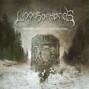 Woods Of Ypres - Deepest Roots Belief That All