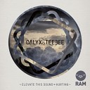 Calyx Teebee - Elevate This Sound