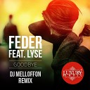 Feder feat Lyse - Goodbye DJ Melloffon Remix