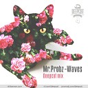 Deepcat - Mr Probz Waves Deepcat extended remix