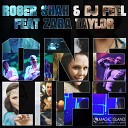 Roger Shah DJ Feel - One Life feat Zara Taylor Cold Rush Remix